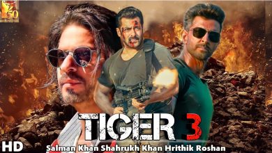 Photo of फिल्म टाइगर 3 को लेकर आई बड़ी अपडेट, सलमान खान के साथ दिखाई दे सकते है ऋतिक रोशन