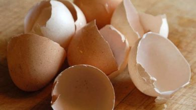 Photo of अंडे के छिलकों में मौजूद कैल्शियम आपको दिलाएगा स्कीन में जलन व खुजली से निजात