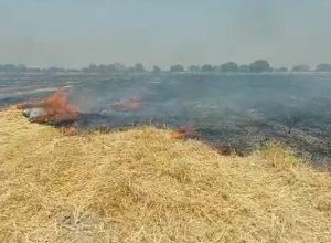 Photo of हमीरपुर : अज्ञात कारणों के चलते खेत मे पड़ी पराली में लगी भीषण आग